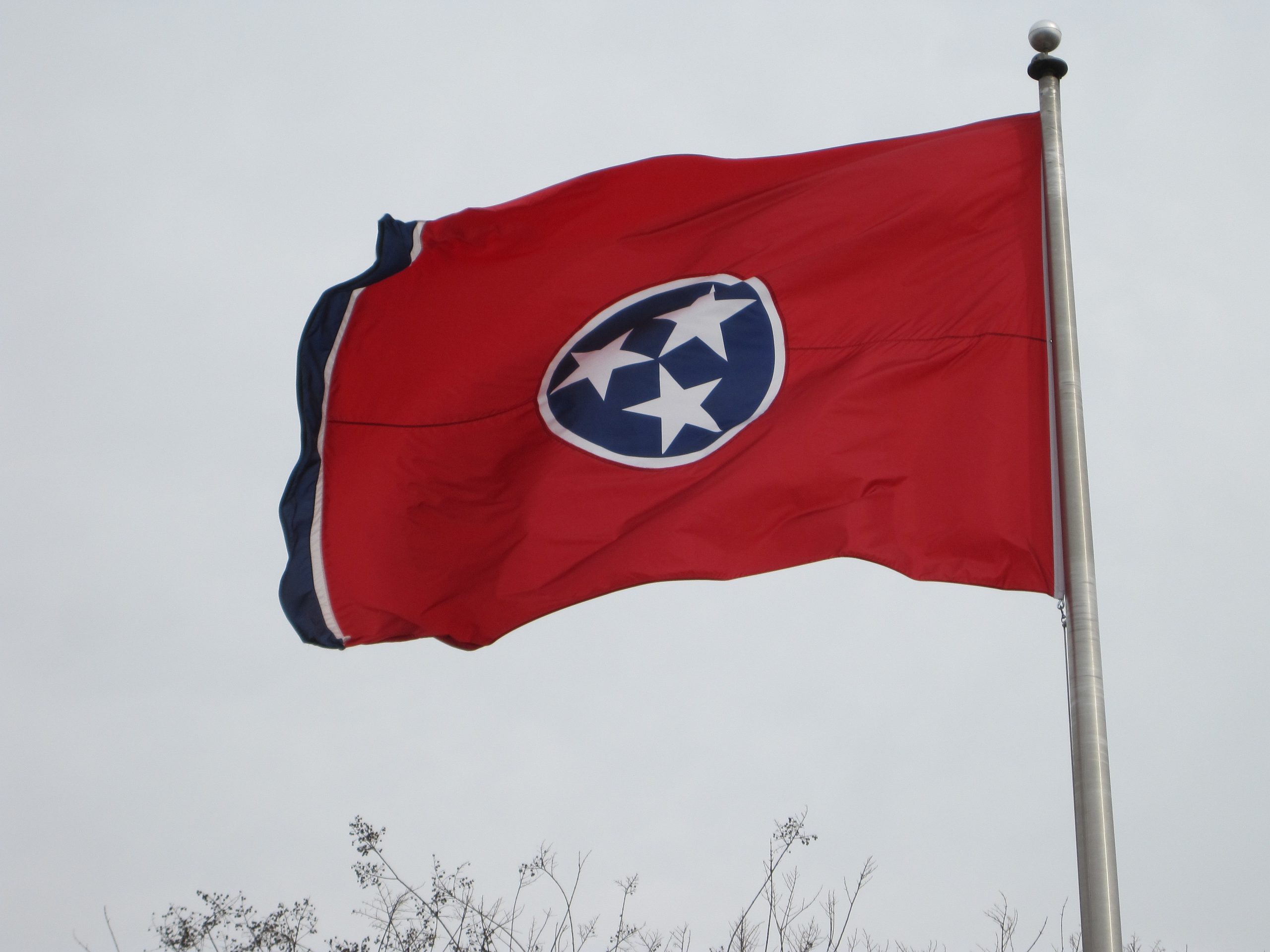 Tennessee Early Graduation